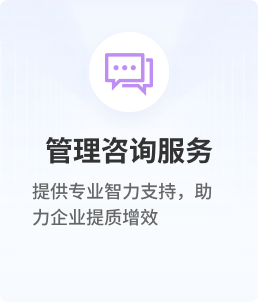 管理咨询服务