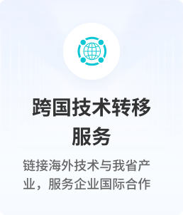 跨国技术转移服务